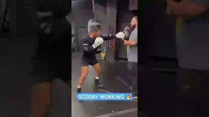 Scooby in the lab 👀🔥 #otx #boxing #shorts